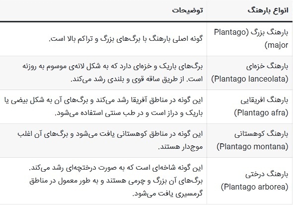 بارهنگ چیست و چه خواصی دارد؟