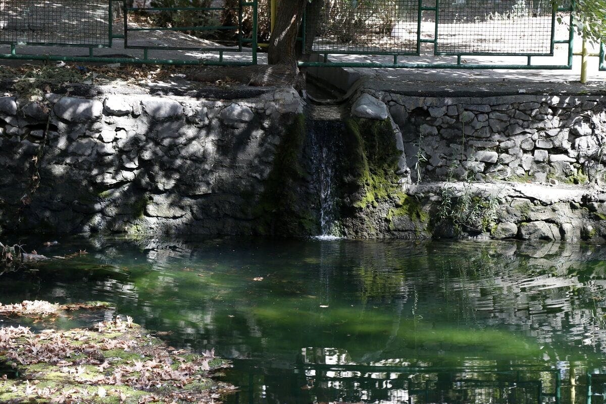 سفر به تهران قدیم؛ چگونه خوره به جان باغهای پونک میافتاد؟