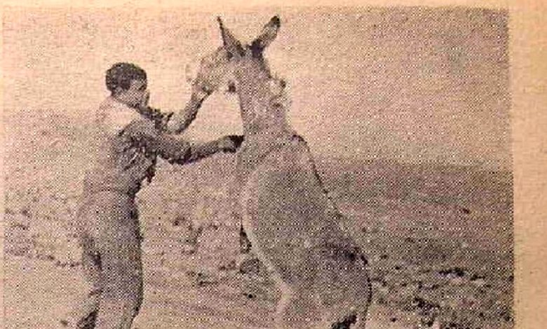 (عکس) سفر به ایران قدیم؛ بالاخره تصویر «اصغر خرکُش» جلاد الاغ‌ها منتشر شد!