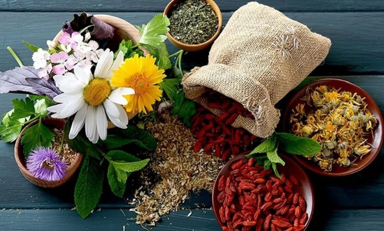 10 گیاه دارویی و اورژانسی که حتما باید در خانه داشته باشید!