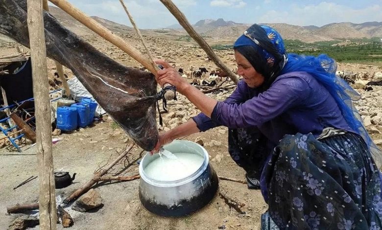 (عکس) سفر به ایران قدیم؛ «زن عشایری در حال مشک زدن-بیستون کرمانشاه»؛ سال 1325