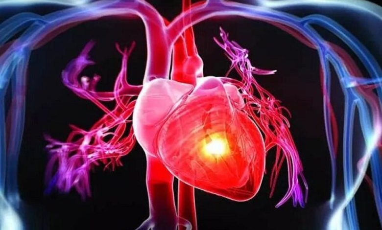 کمبود منیزیم چه تاثیری بر سلامت قلب دارد؟