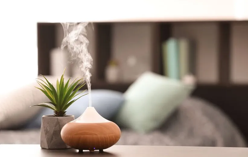 10 راهکار ساده برای داشتن خانه‌ای همیشه خوشبو