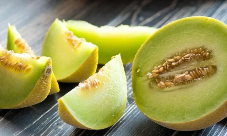 آموزش کاشت و پرورش ملون در گلدان