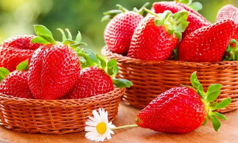 بهترین روش های از بین بردن کرم توت فرنگی