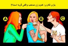 بازی فکری صاحب گربه