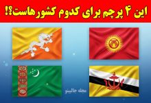 آزمون هوش پرچم‌ها