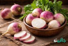 بررسی کامل خواص شلغم