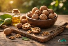 بررسی کامل خواص گردو و مضرات آن