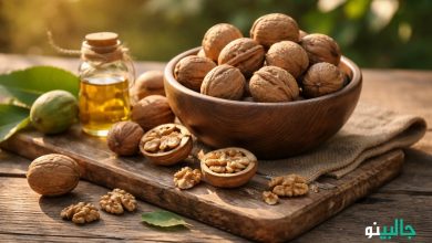 بررسی کامل خواص گردو و مضرات آن