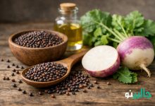 خواص تخم شلغم