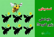 تست بینایی یافتن سایه زنبور