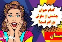 چیستان حدس نام حیوان