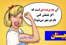 چیستان حدس نام پرنده