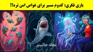 بازی فکری شناسایی مسیر امن غواص