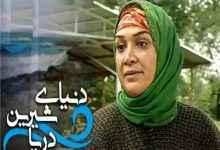 بیوگرافی مینا نوروزی