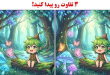 تست بینایی تفاوت تصویر جنگل رویایی