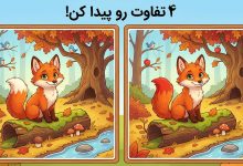 تست بینایی تفاوت تصویر روباه بازیگوش