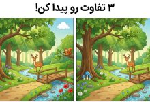 تست بینایی تفاوت تصویری باغ حیوانات
