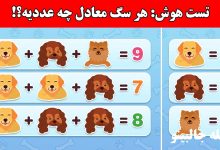 تست هوش محاسبه عدد سگ ها