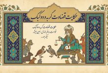 حکایت قضاوت گربه و دو کبک