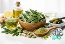 خواص برگ زیتون