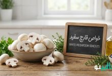 خواص قارچ برای سلامتی