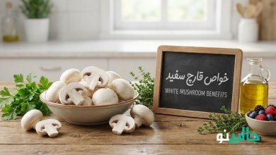 خواص قارچ برای سلامتی