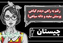 چیستان گیاه کوهی